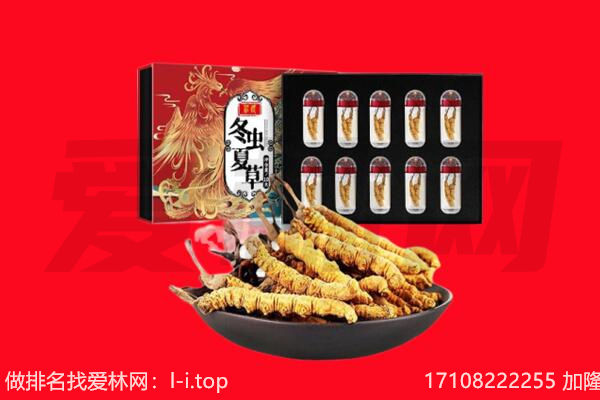 于田县回收虫草.jpg